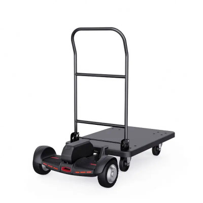 Scooter motorizado con plataforma ET300P2 Scooter motorizado con plataforma ET300P2